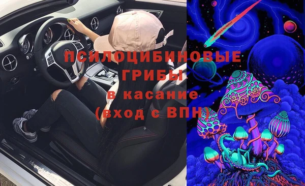 PSILOCYBIN Рославль