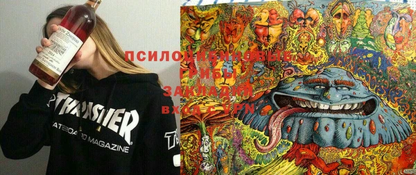 шишки Алексеевка